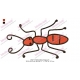 Red Ant Embroidery Design